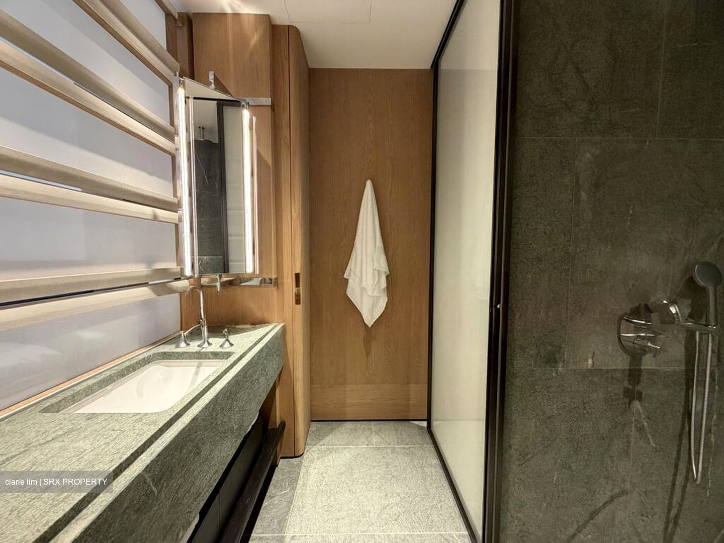 21 Anderson (D10), Condominium #519147451